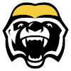 لوگوی Brampton Honey Badgers