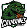 لوگوی Caimanes del Llano