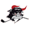 لوگوی رودور مایتی بولز