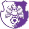 لوگوی Arges Pitesti (Women)