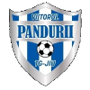 لوگوی Viitorul Pandurii Targu Jiu