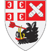 لوگوی Radnicki Kragujevac (Women)