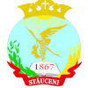 لوگوی Stauceni