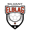 لوگوی Silvant Elblag