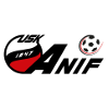 لوگوی ANIF