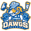 لوگوی Roanoke Rail Yard Dawgs