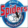 لوگوی Wels Spiders