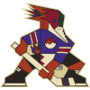 لوگوی Tucson Roadrunners