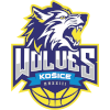 لوگوی Kosice Wolves