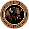 لوگوی Esmark Kosice