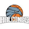 لوگوی Halcones de Ciudad Obregon
