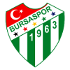 لوگوی Bursaspor