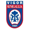 لوگوی US Vigor Senigallia