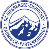 لوگوی ریسرسی
