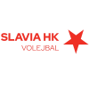 لوگوی Hradec Kralove B