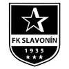 لوگوی Slavonin