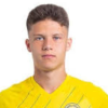تصویر Petr Pejsa