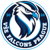 لوگوی VSE Falcons Prague