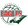لوگوی Diamond Valley Eagles