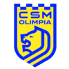 لوگوی CSM Satu Mare