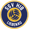 لوگوی HIB Volley