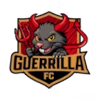 لوگوی Guerrilla 7x7