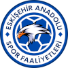 لوگوی Eskisehir Anadolu SF