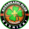 لوگوی Radnicki Gorazde