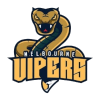 لوگوی Melbourne Vipers