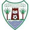 لوگوی دبا الحصن