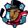 لوگوی Bloomington Bison