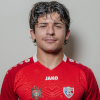 تصویر Ioan-Calin Revenco
