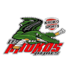 لوگوی Nimes