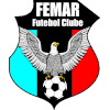 لوگوی Femar