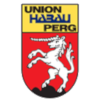 لوگوی DSG Union Perg
