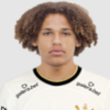 تصویر Guilherme Sucigan Mafra Cunha