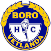 لوگوی Boro Vetlanda