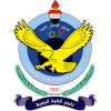 لوگوی القوا الجويه