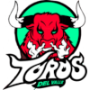 لوگوی Toros del Valle