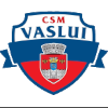 لوگوی CSM Vaslui