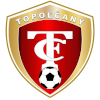 لوگوی توپولکانی