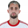 تصویر Adnan Januzaj