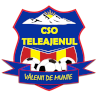 لوگوی Teleajenul Valenii de Munte