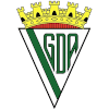 لوگوی Grupo Desportivo Alcochetense