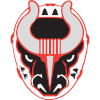 لوگوی Birmingham Bulls
