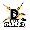 لوگوی Dunedin Thunder