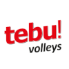 لوگوی Tebu