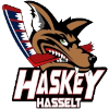 لوگوی Haskey Hasselt