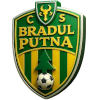 لوگوی Bradul Putna