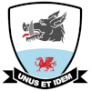 لوگوی Baglan Dragons